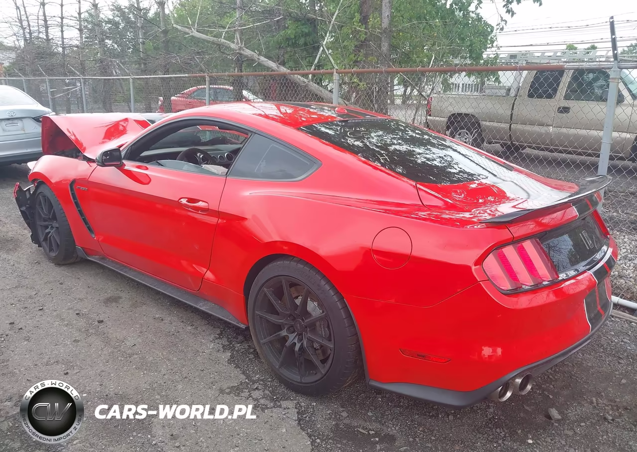 2017 Ford Shelby Gt350 VIN:1FA6P8JZ7H5526941 - 3