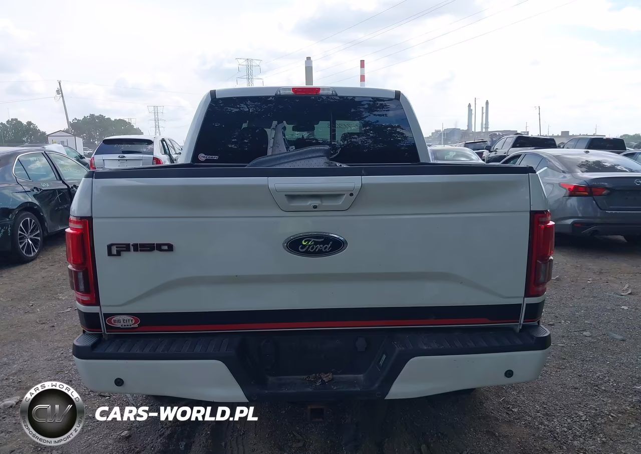 2016 Ford F-150 Lariat VIN:1FTEW1EG2GFD55954 - 17