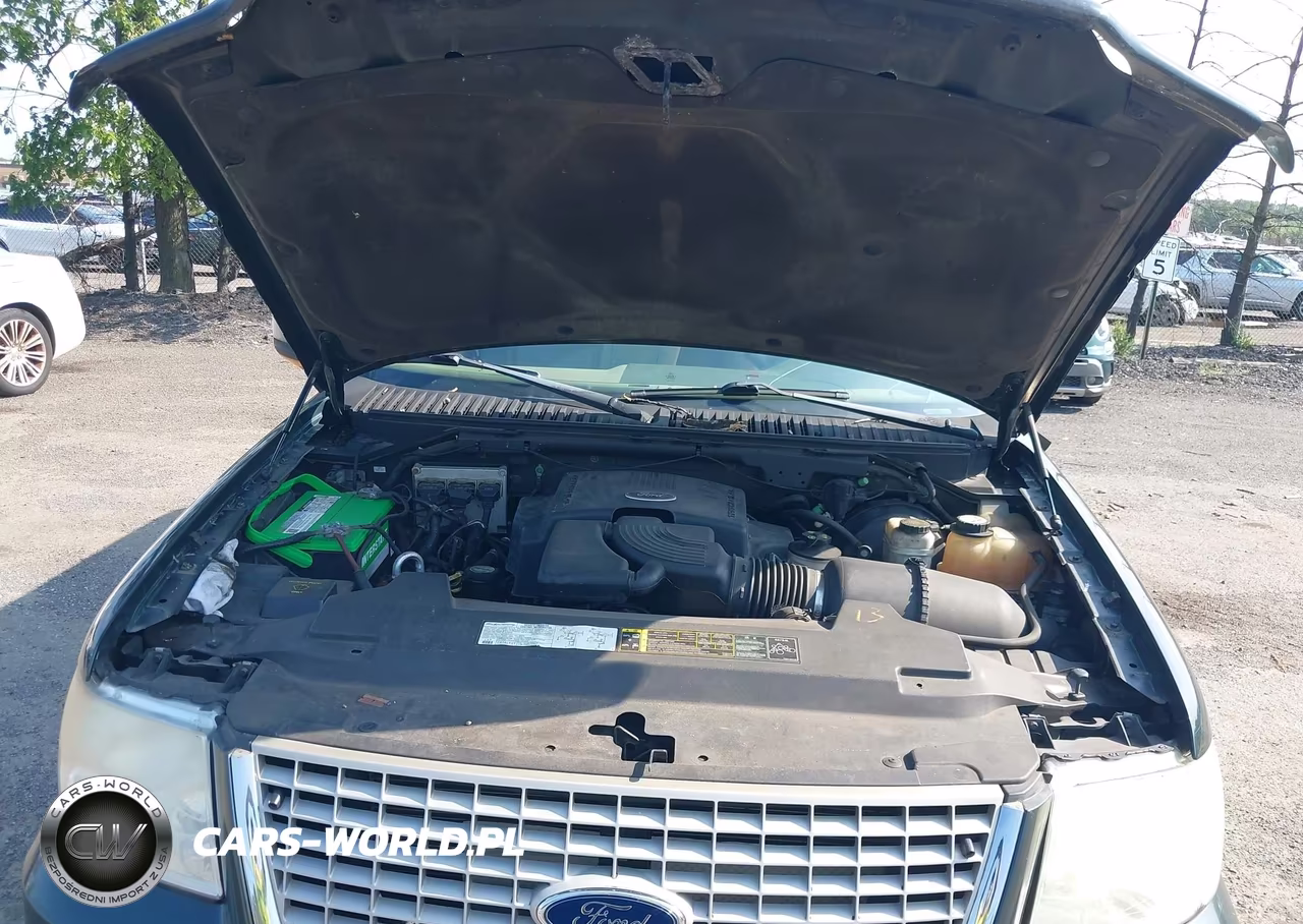 2004 Ford Expedition Eddie Bauer VIN:1FMPU18L54LA54854 - 10