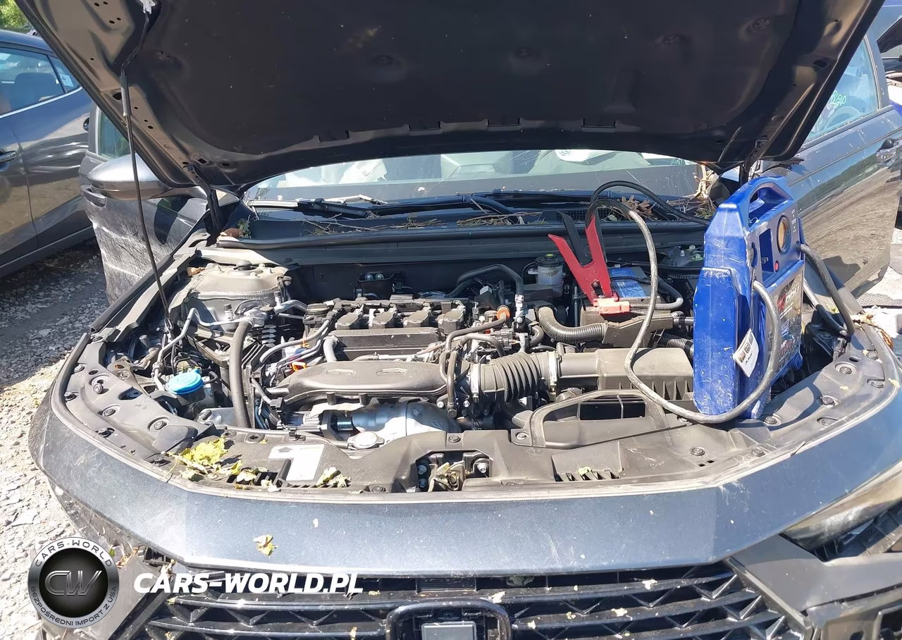 2025 Honda Accord Lx VIN:1HGCY1F24SA022800 - 10