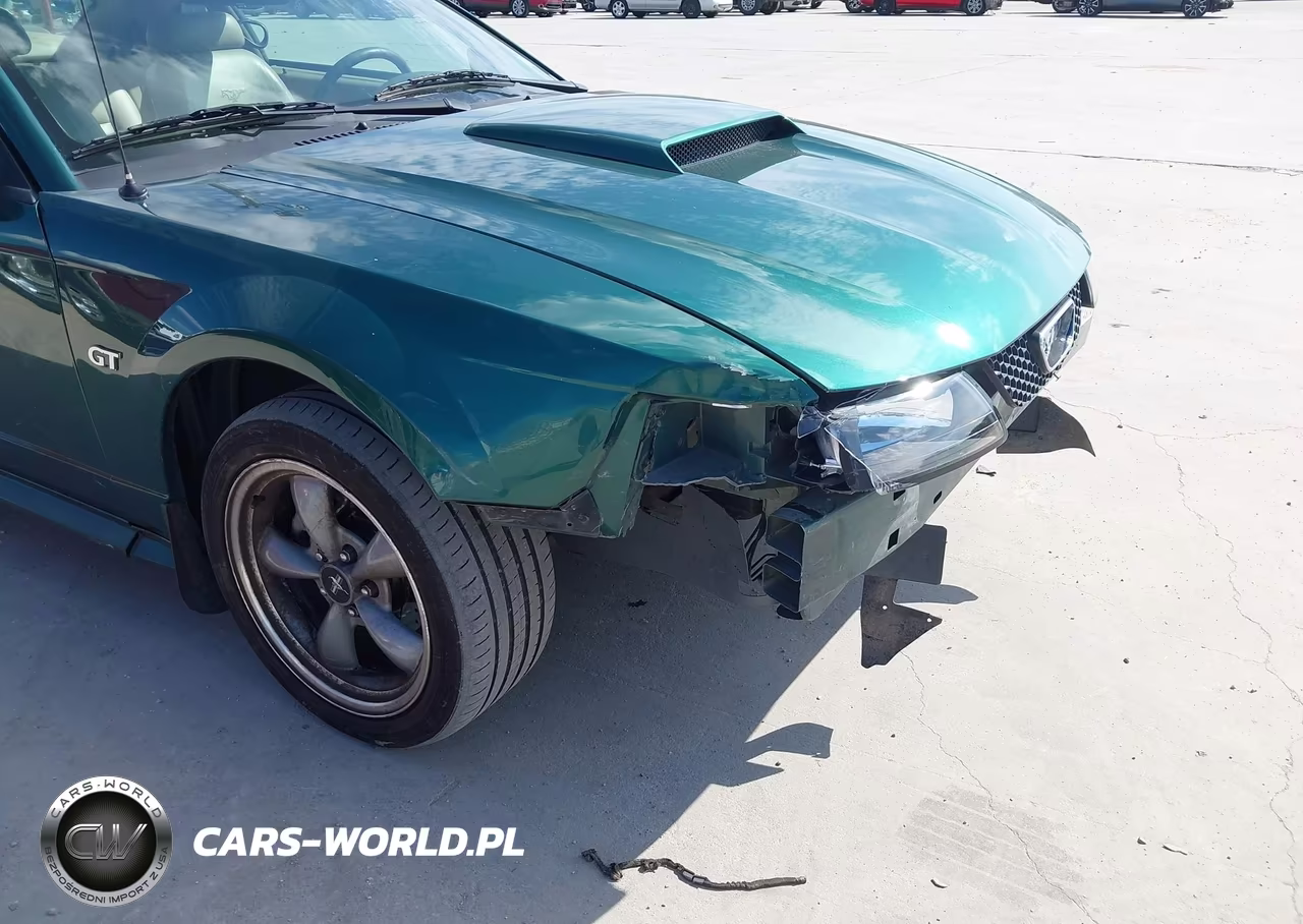 2002 Ford Mustang Gt Deluxe-Gt Premium VIN:1FAFP42X12F161969 - 12