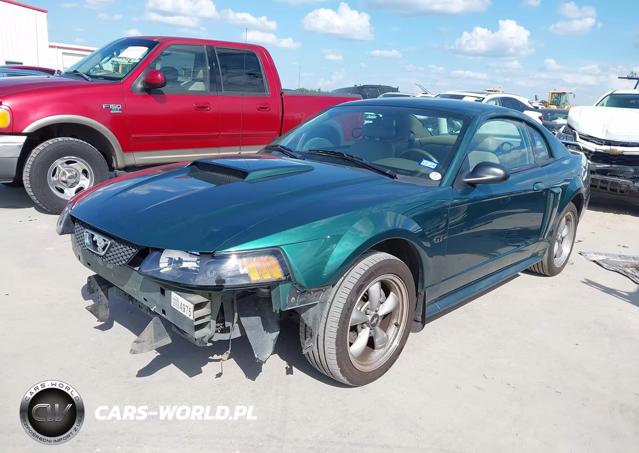 2002 Ford Mustang Gt Deluxe-Gt Premium VIN:1FAFP42X12F161969 - 2