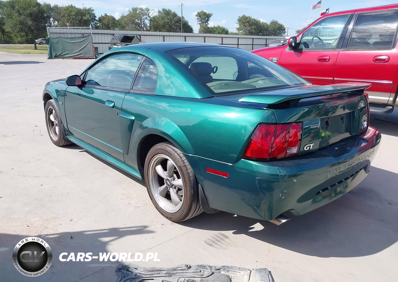 2002 Ford Mustang Gt Deluxe-Gt Premium VIN:1FAFP42X12F161969 - 3