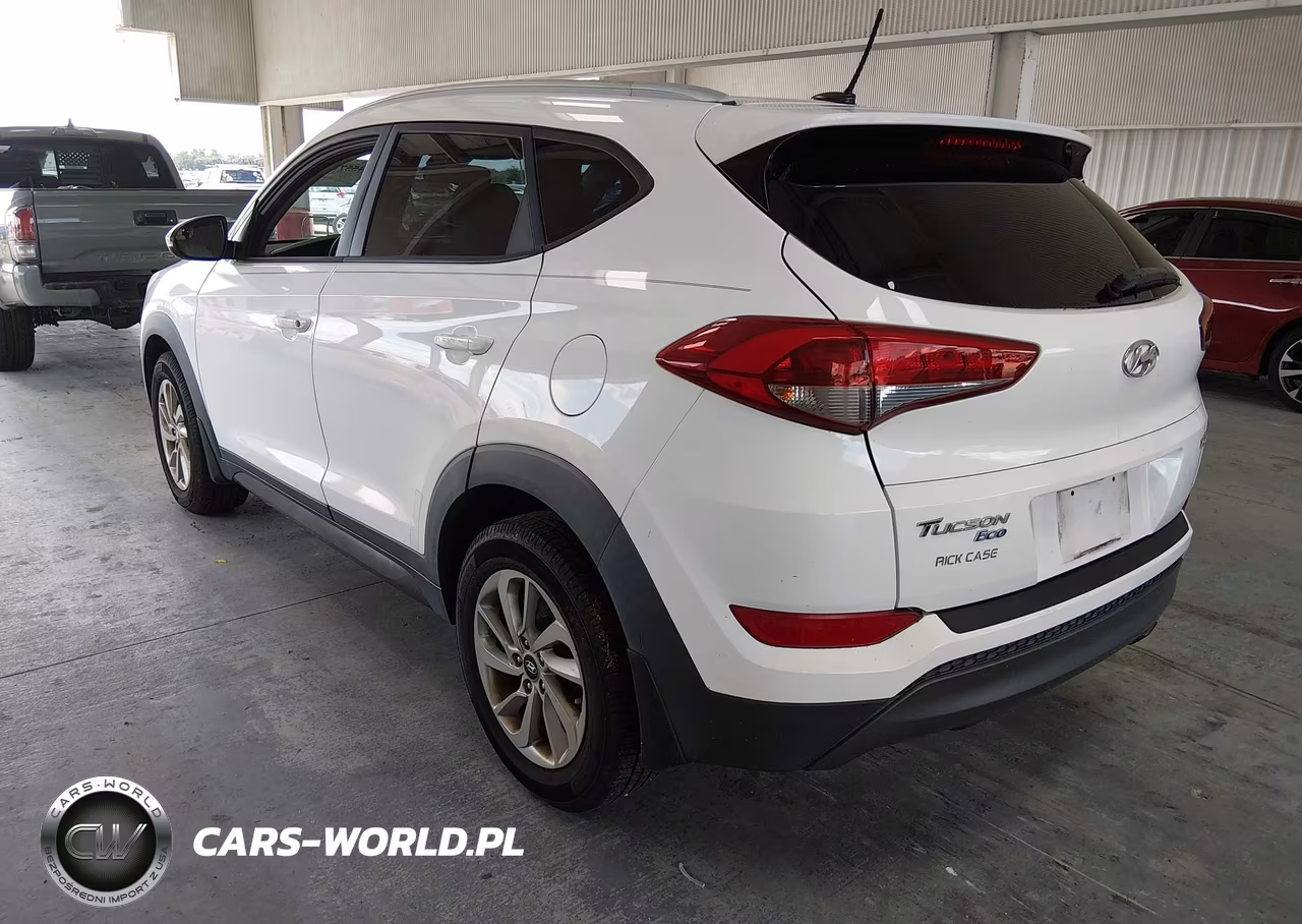2016 Hyundai Tucson Eco VIN:KM8J33A25GU025892 - 3