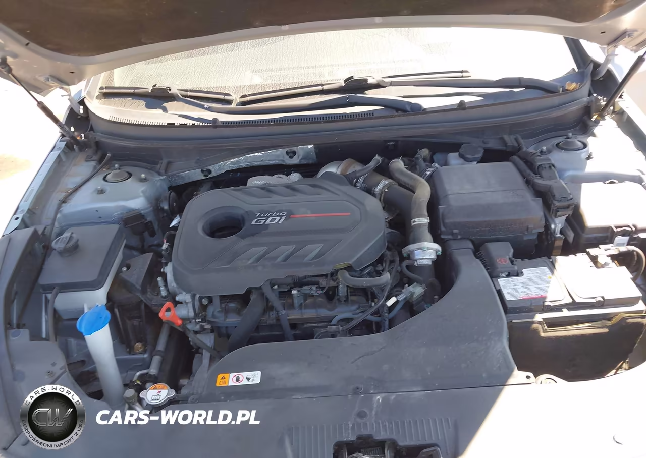 2017 Hyundai Sonata Sport 2.0T VIN:5NPE34AB5HH496805 - 10