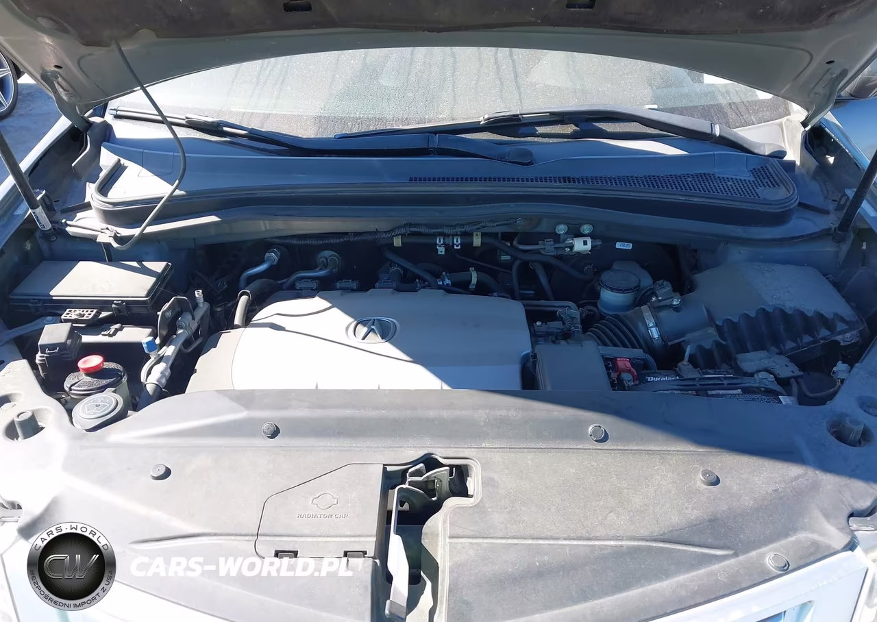 2010 Acura Mdx Advance Package VIN:2HNYD2H78AH520085 - 10
