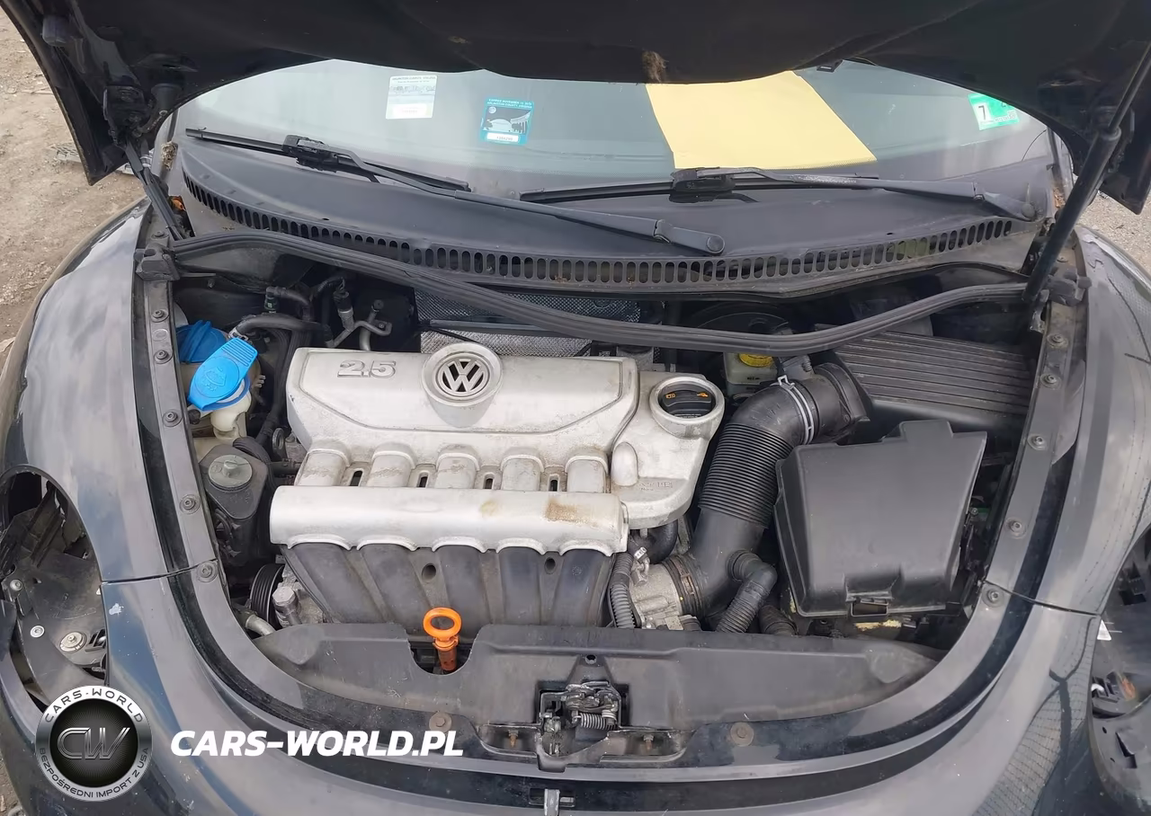 2009 Volkswagen New Beetle 2.5L VIN:3VWPW31C99M506912 - 10