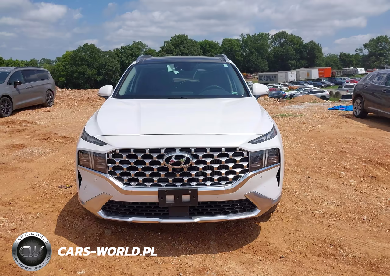 2021 Hyundai Santa Fe Limited VIN:5NMS4DAL8MH318189 - 12