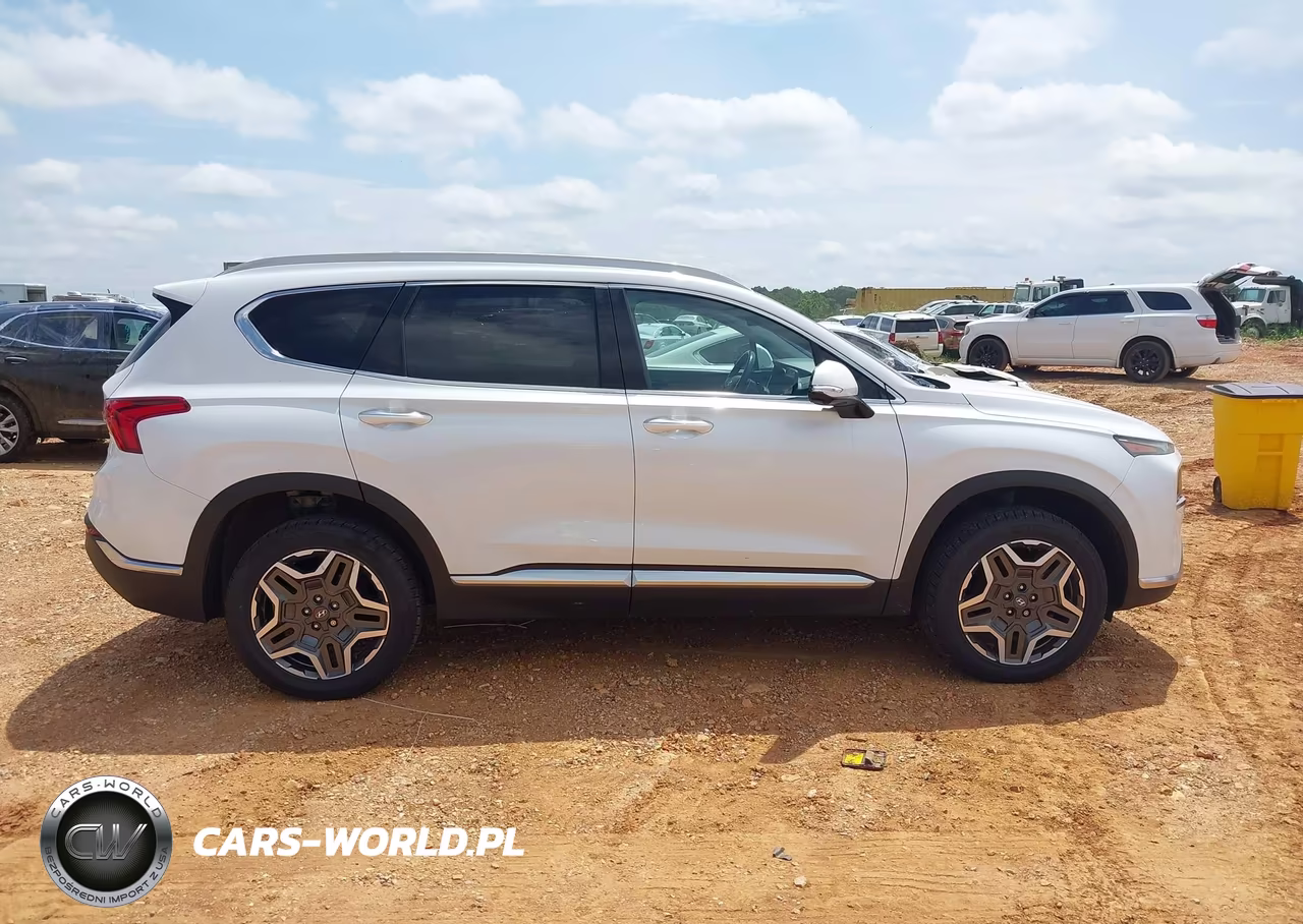 2021 Hyundai Santa Fe Limited VIN:5NMS4DAL8MH318189 - 13