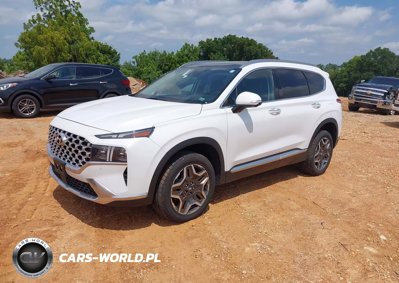 2021 Hyundai Santa Fe Limited VIN:5NMS4DAL8MH318189 - 2