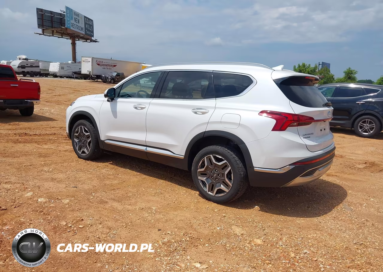 2021 Hyundai Santa Fe Limited VIN:5NMS4DAL8MH318189 - 3