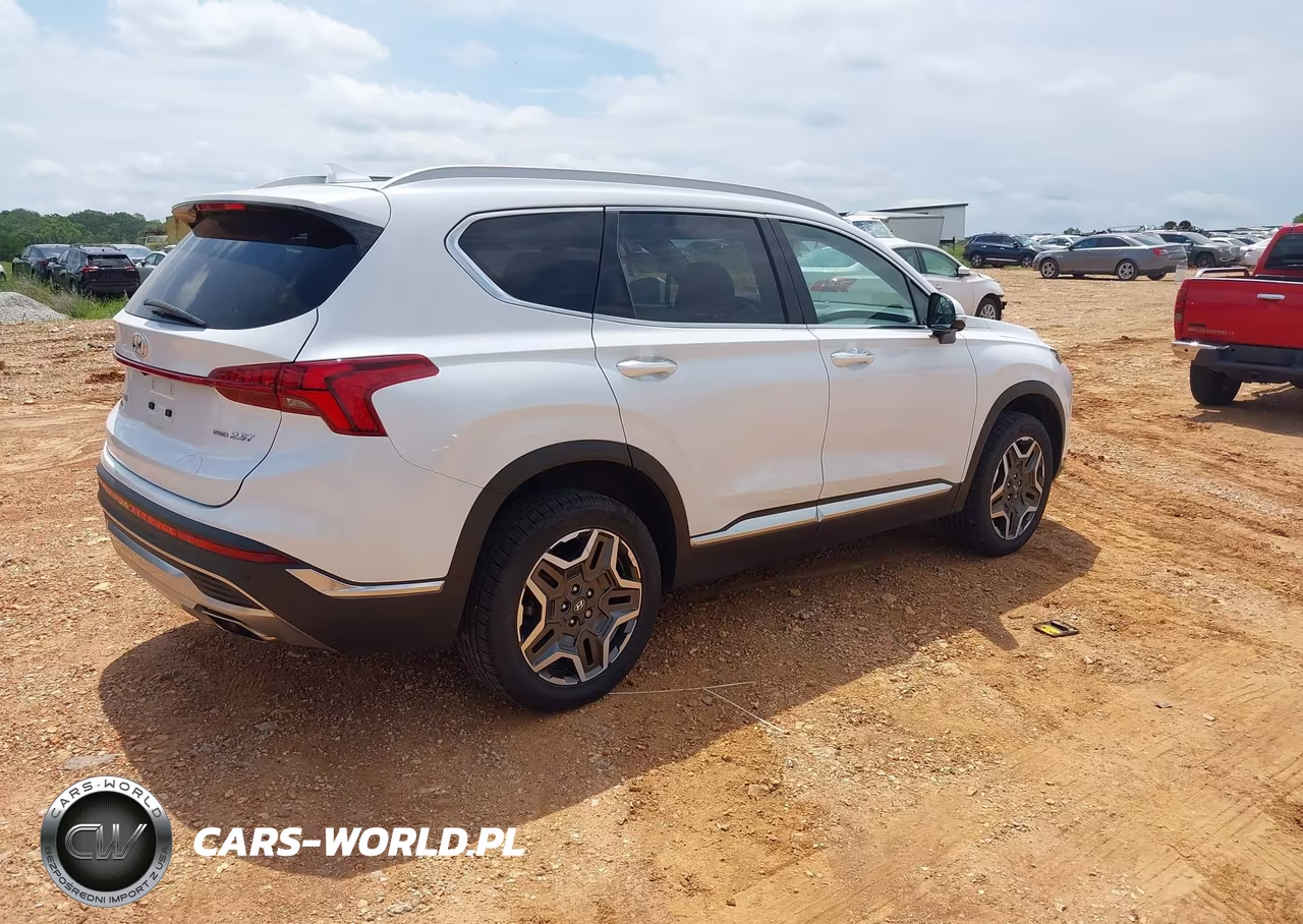 2021 Hyundai Santa Fe Limited VIN:5NMS4DAL8MH318189 - 4