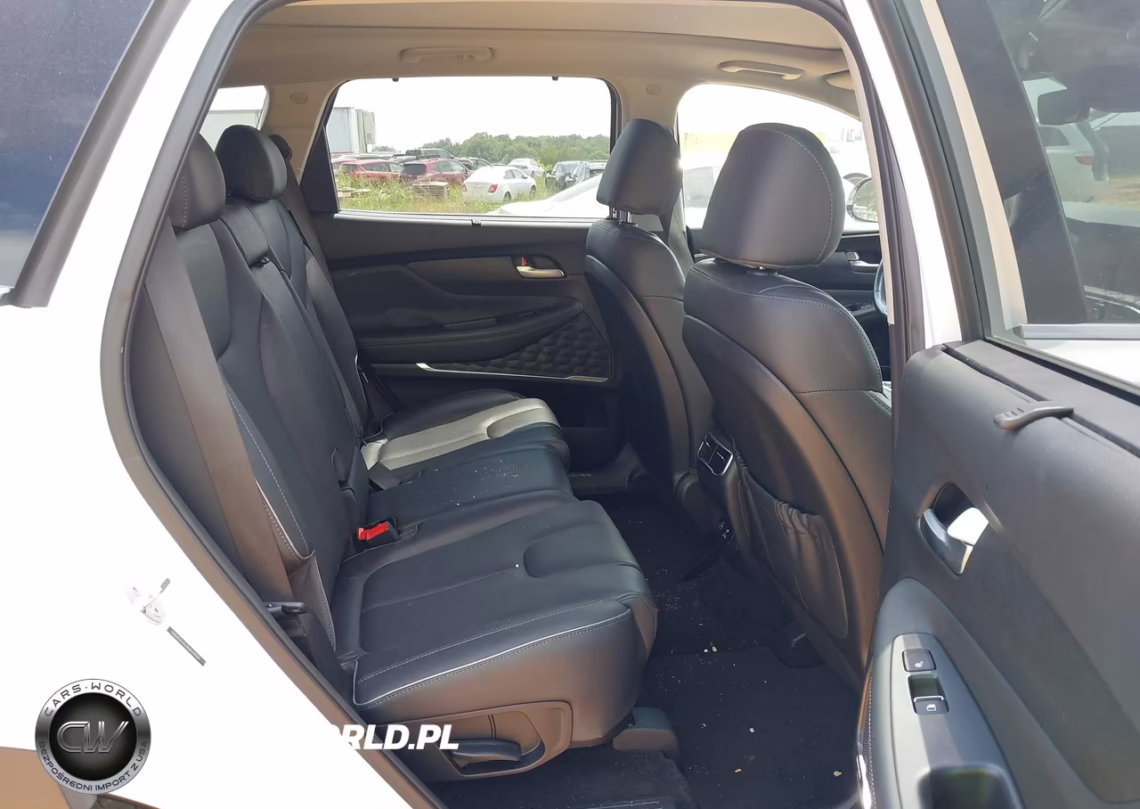 2021 Hyundai Santa Fe Limited VIN:5NMS4DAL8MH318189 - 8