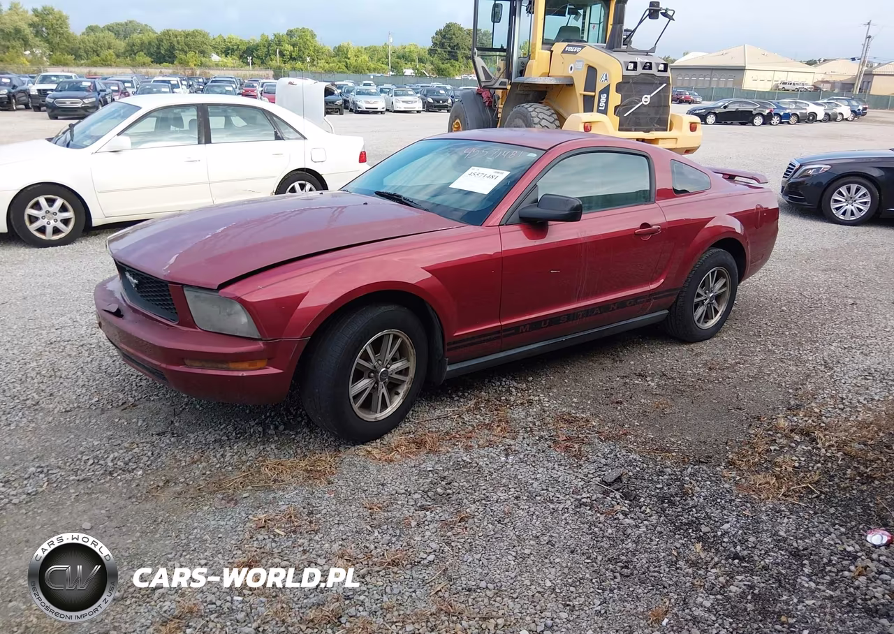 2005 Ford Mustang V6 Deluxe-V6 Premium VIN:1ZVHT80N355112660 - 2
