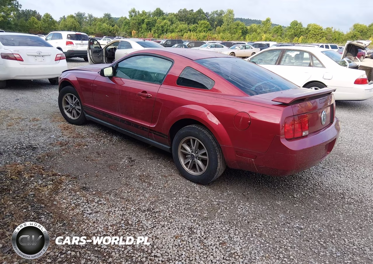 2005 Ford Mustang V6 Deluxe-V6 Premium VIN:1ZVHT80N355112660 - 3