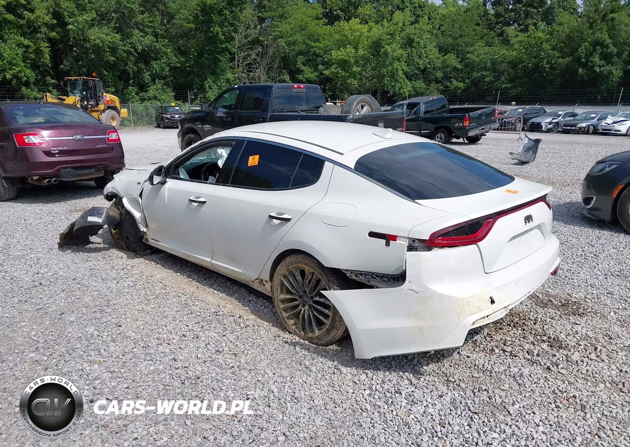 2018 Kia Stinger VIN:KNAE15LA5J6035150 - 3
