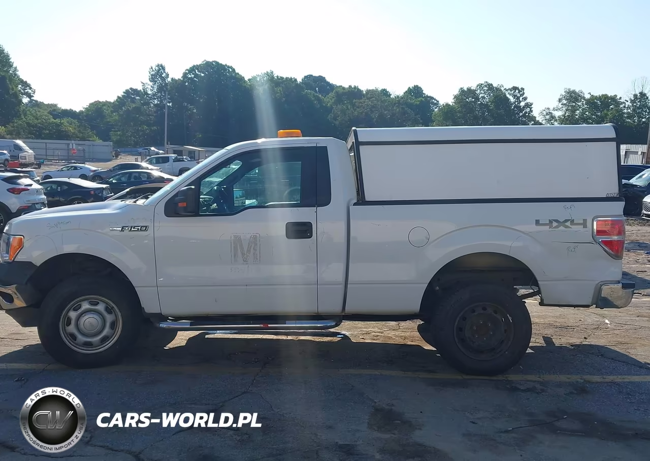 2013 Ford F-150 Stx-Xl-Xlt VIN:1FTMF1EM9DFC21648 - 13