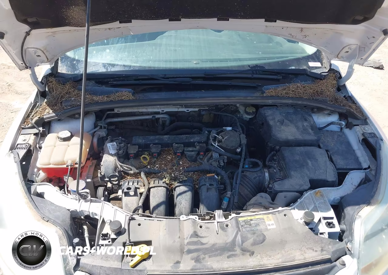 2014 Ford Focus Se VIN:1FADP3F22EL224325 - 10