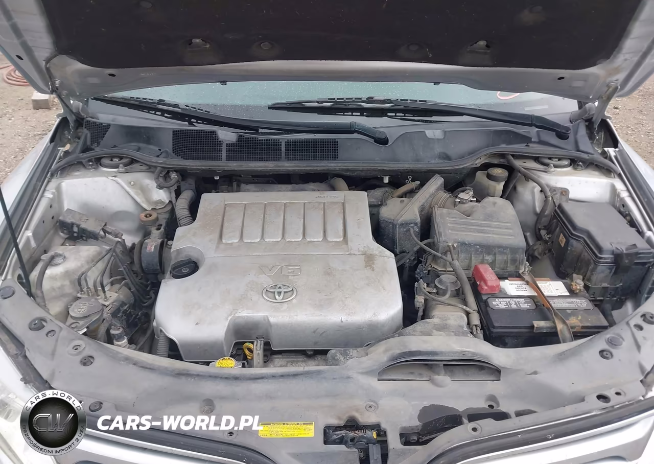 2009 Toyota Venza Base V6 VIN:4T3ZK11A39U013655 - 10