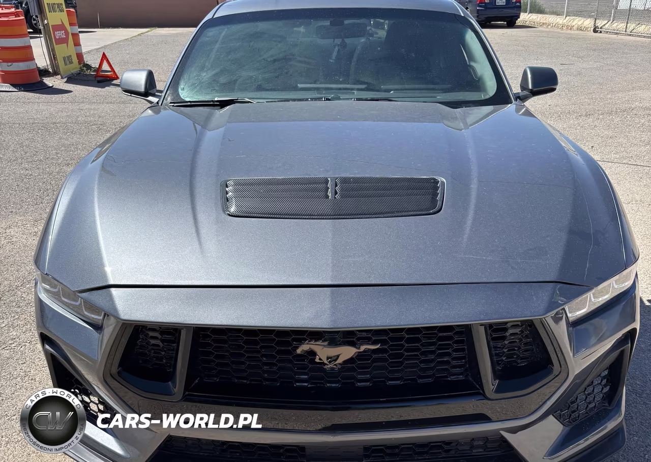 2025 Ford Mustang Gt Fastback VIN:1FA6P8CF5S5401382 - 6