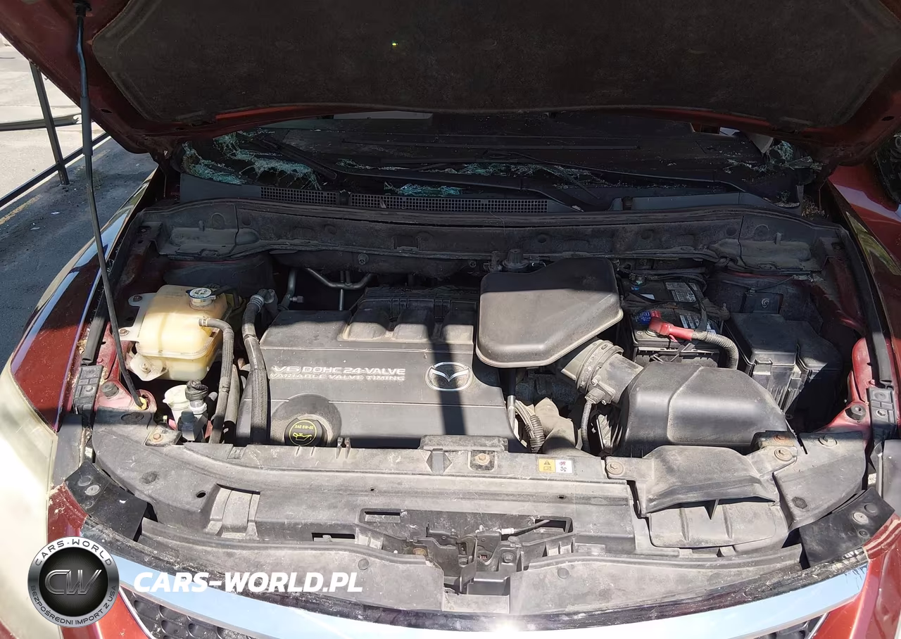 2009 Mazda Cx-9 Sport VIN:JM3TB38VX90173571 - 10
