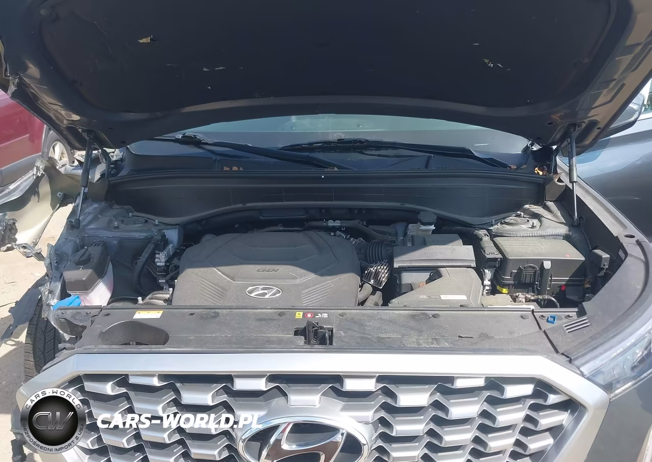 2021 Hyundai Palisade Sel VIN:KM8R4DHE6MU231921 - 10