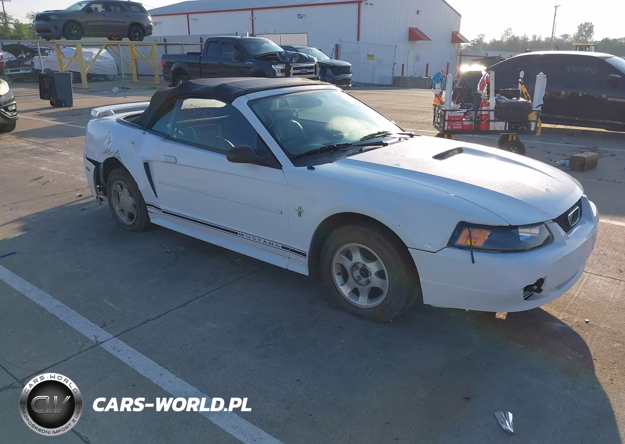 2001 Ford Mustang Deluxe-Premium