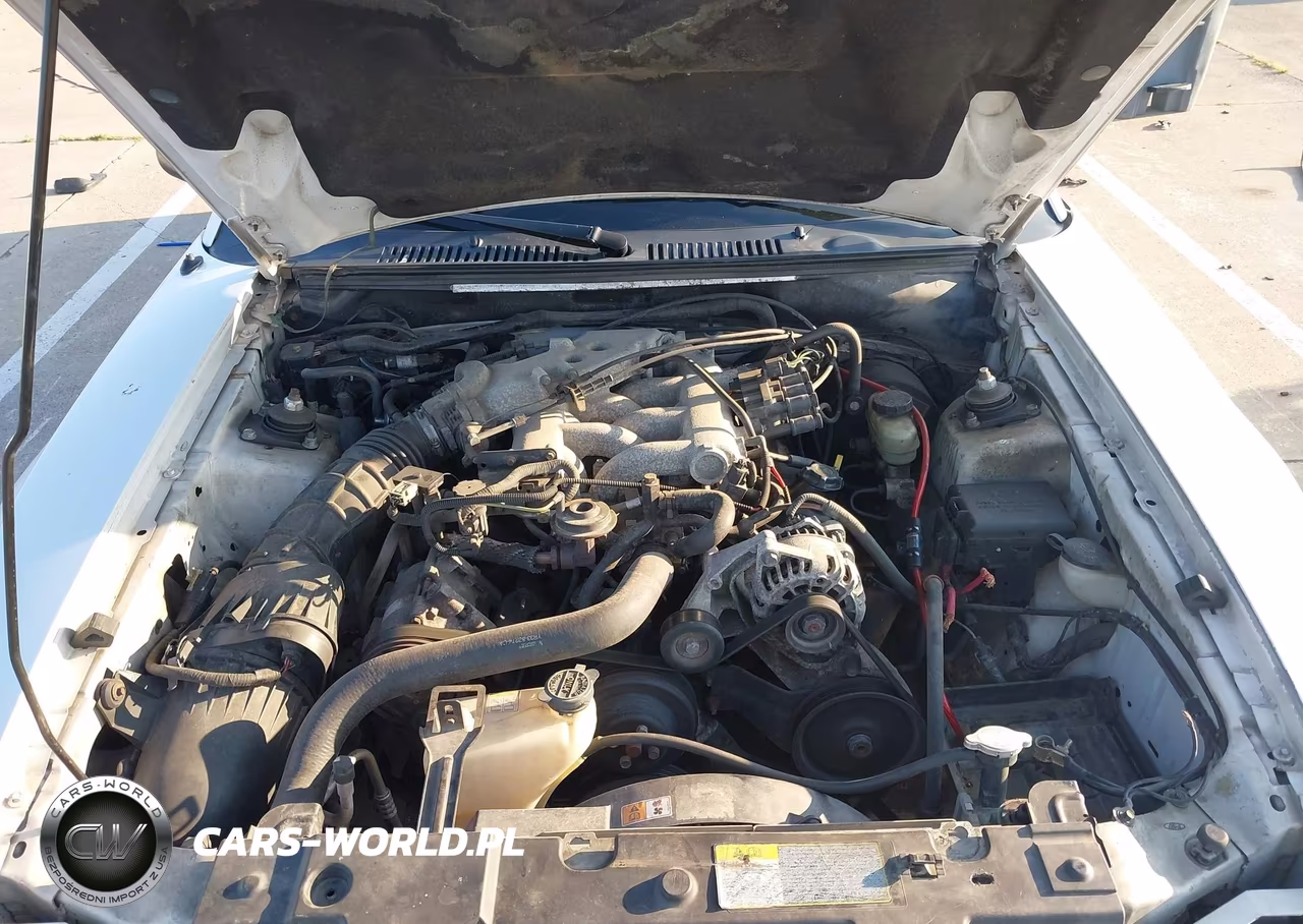 2001 Ford Mustang Deluxe-Premium VIN:1FAFP444X1F134769 - 10
