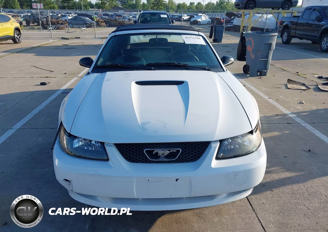 2001 Ford Mustang Deluxe-Premium VIN:1FAFP444X1F134769 - 12