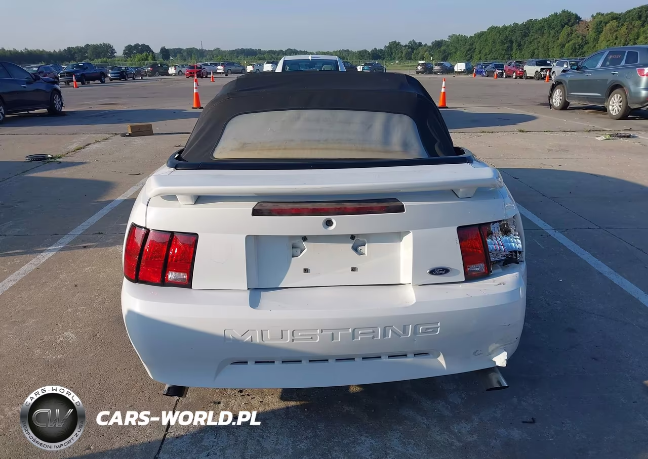 2001 Ford Mustang Deluxe-Premium VIN:1FAFP444X1F134769 - 16