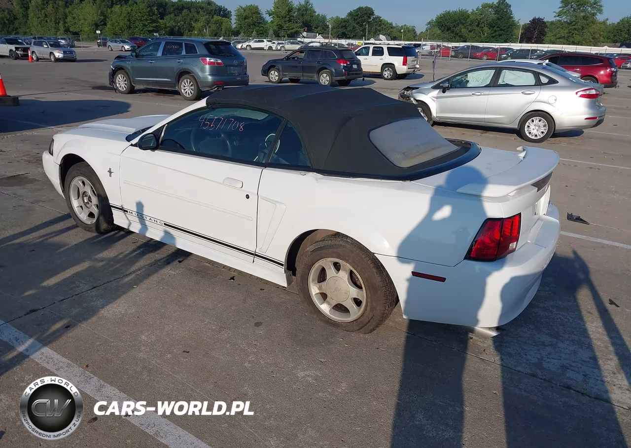 2001 Ford Mustang Deluxe-Premium VIN:1FAFP444X1F134769 - 3