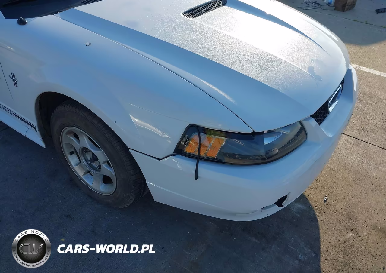 2001 Ford Mustang Deluxe-Premium VIN:1FAFP444X1F134769 - 6