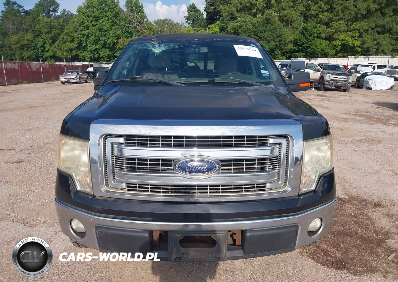 2013 Ford F-150 Xlt VIN:1FTFW1CF4DKD46612 - 12
