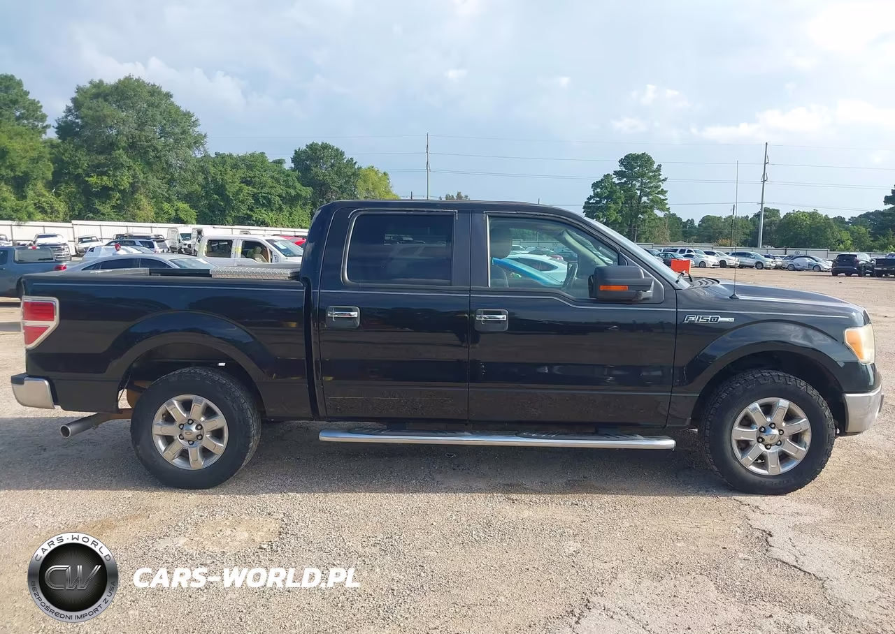 2013 Ford F-150 Xlt VIN:1FTFW1CF4DKD46612 - 13