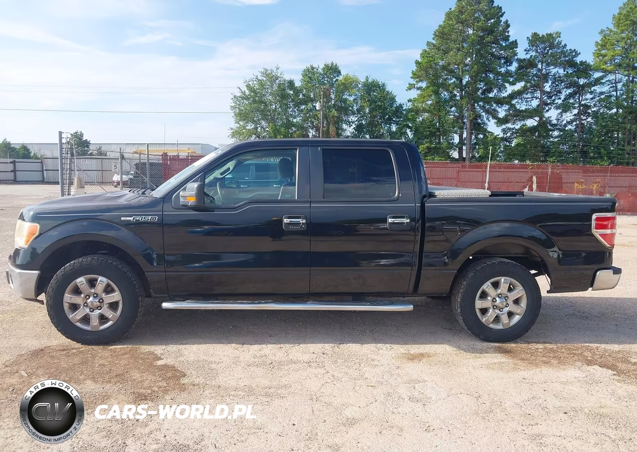 2013 Ford F-150 Xlt VIN:1FTFW1CF4DKD46612 - 14
