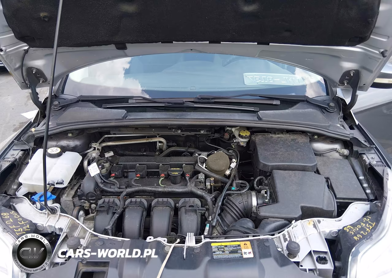 2013 Ford Focus Se VIN:1FADP3F28DL206233 - 10