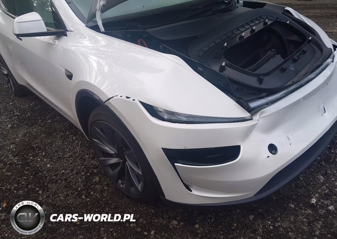 2026 Tesla Model Y All-Wheel Drive-Long Range Launch Series-Premium All-Wheel Drive VIN:7SAYGDEE3TF607481 - 6