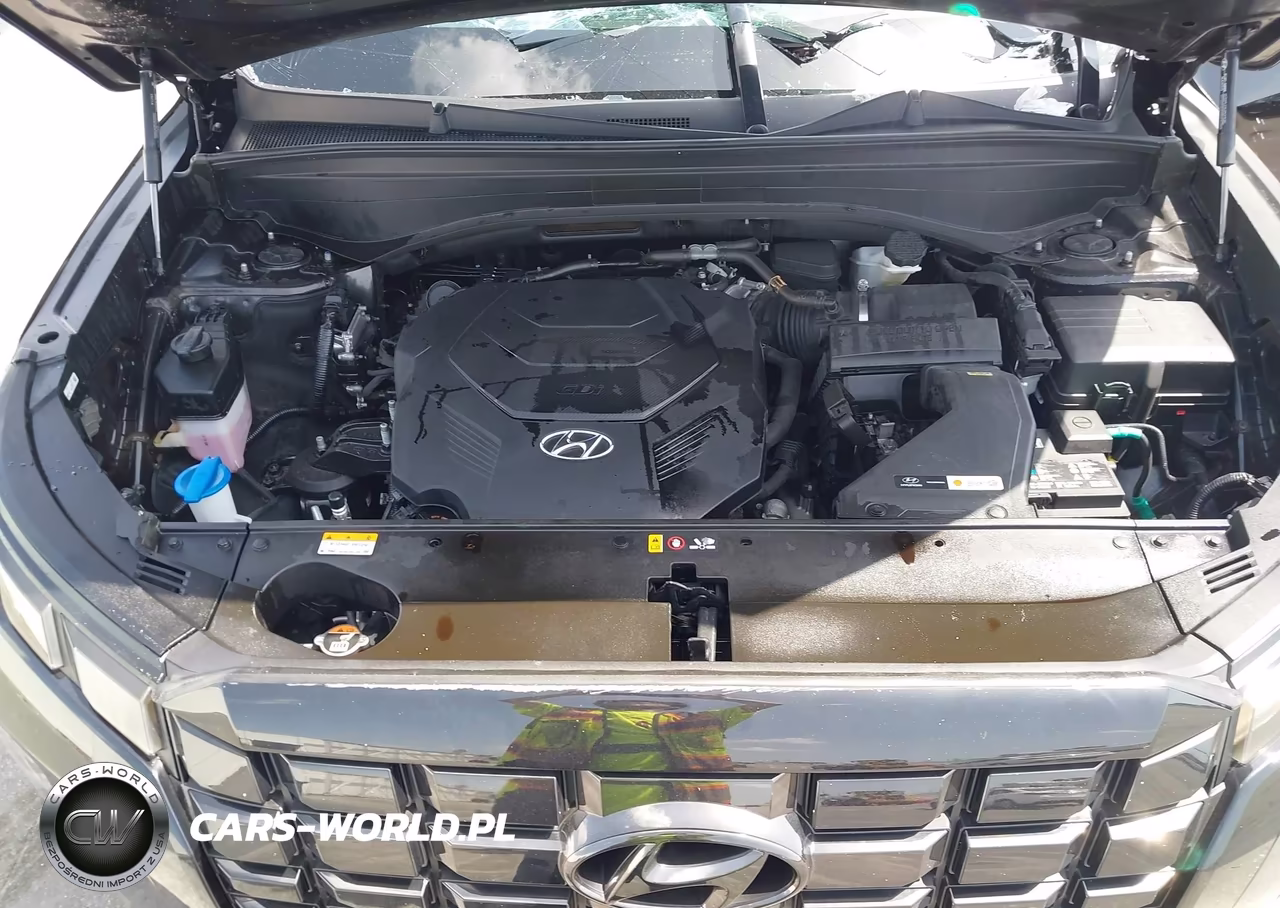 2025 Hyundai Palisade Sel VIN:KM8R2DGE7SU943925 - 10
