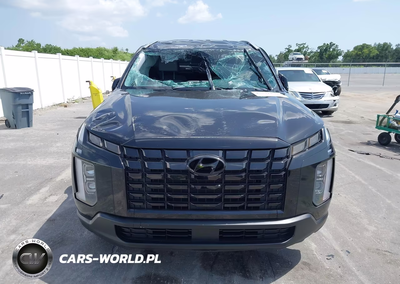 2025 Hyundai Palisade Sel VIN:KM8R2DGE7SU943925 - 12