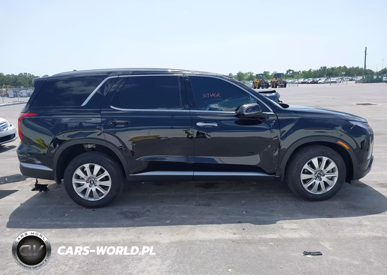 2025 Hyundai Palisade Sel VIN:KM8R2DGE7SU943925 - 13