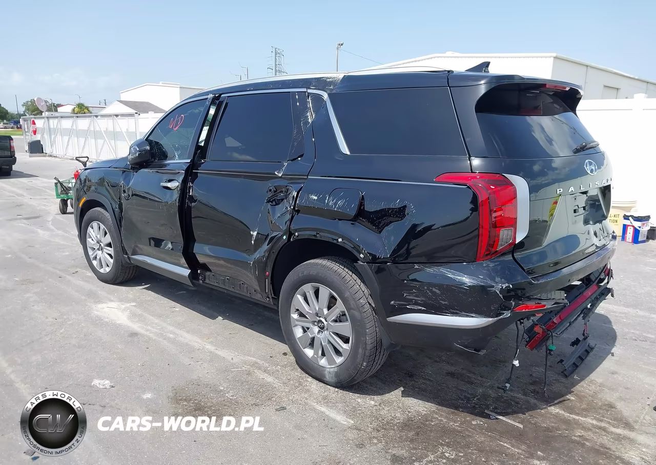 2025 Hyundai Palisade Sel VIN:KM8R2DGE7SU943925 - 3
