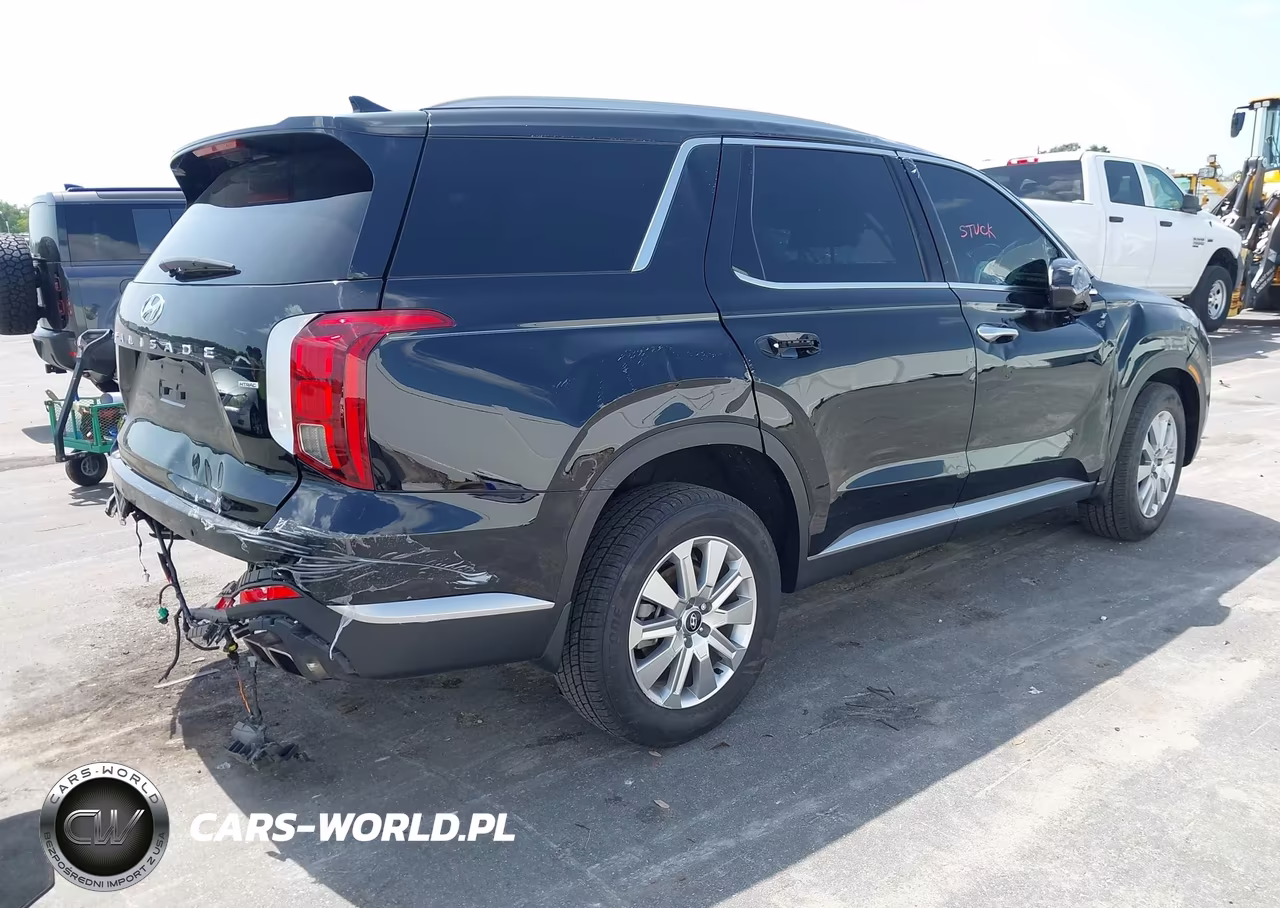 2025 Hyundai Palisade Sel VIN:KM8R2DGE7SU943925 - 4