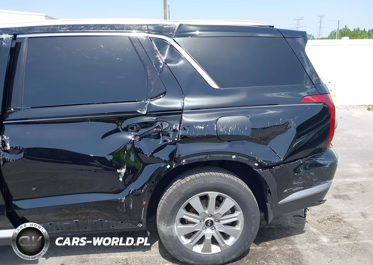 2025 Hyundai Palisade Sel VIN:KM8R2DGE7SU943925 - 6