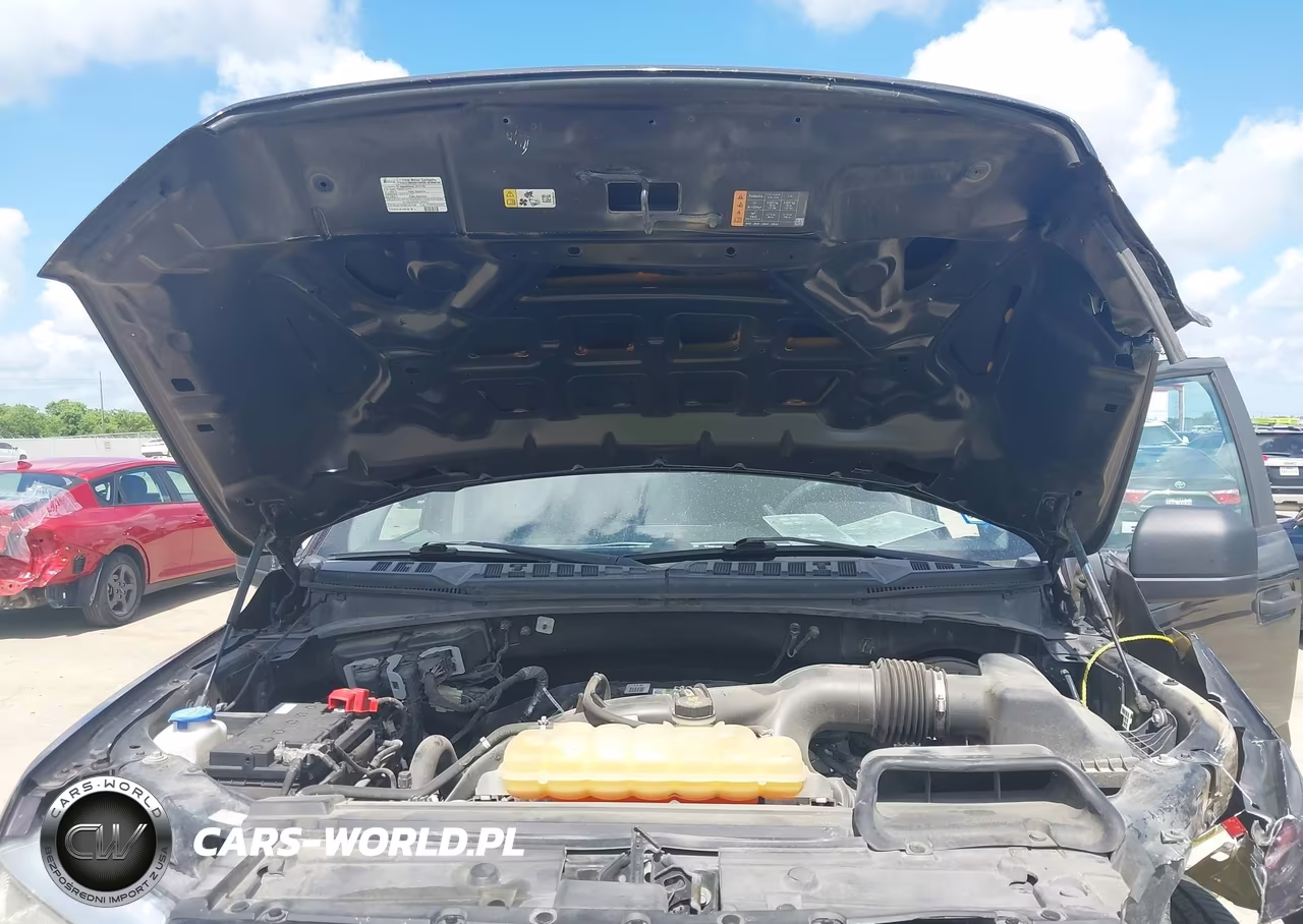 2019 Ford F-150 Xl VIN:1FTEW1CP1KKC09774 - 10