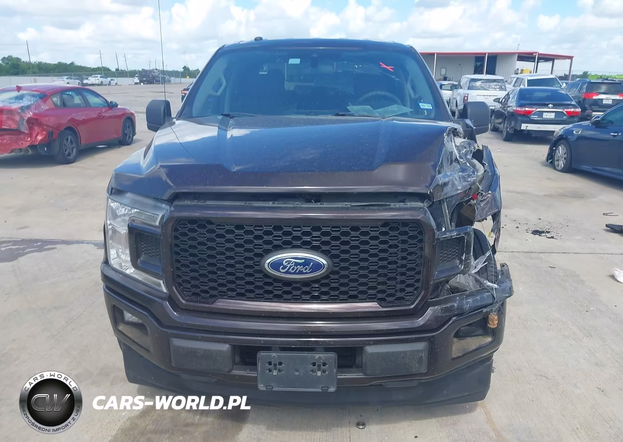 2019 Ford F-150 Xl VIN:1FTEW1CP1KKC09774 - 12
