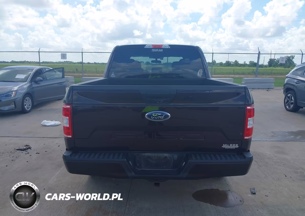 2019 Ford F-150 Xl VIN:1FTEW1CP1KKC09774 - 16