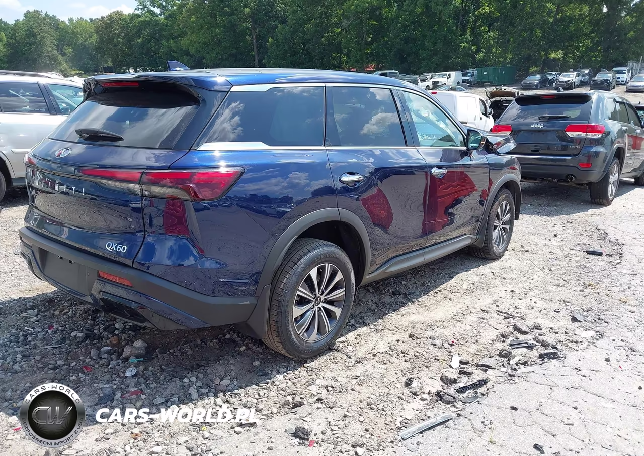 2023 Infiniti Qx60 Pure VIN:5N1DL1ER9PC369269 - 4