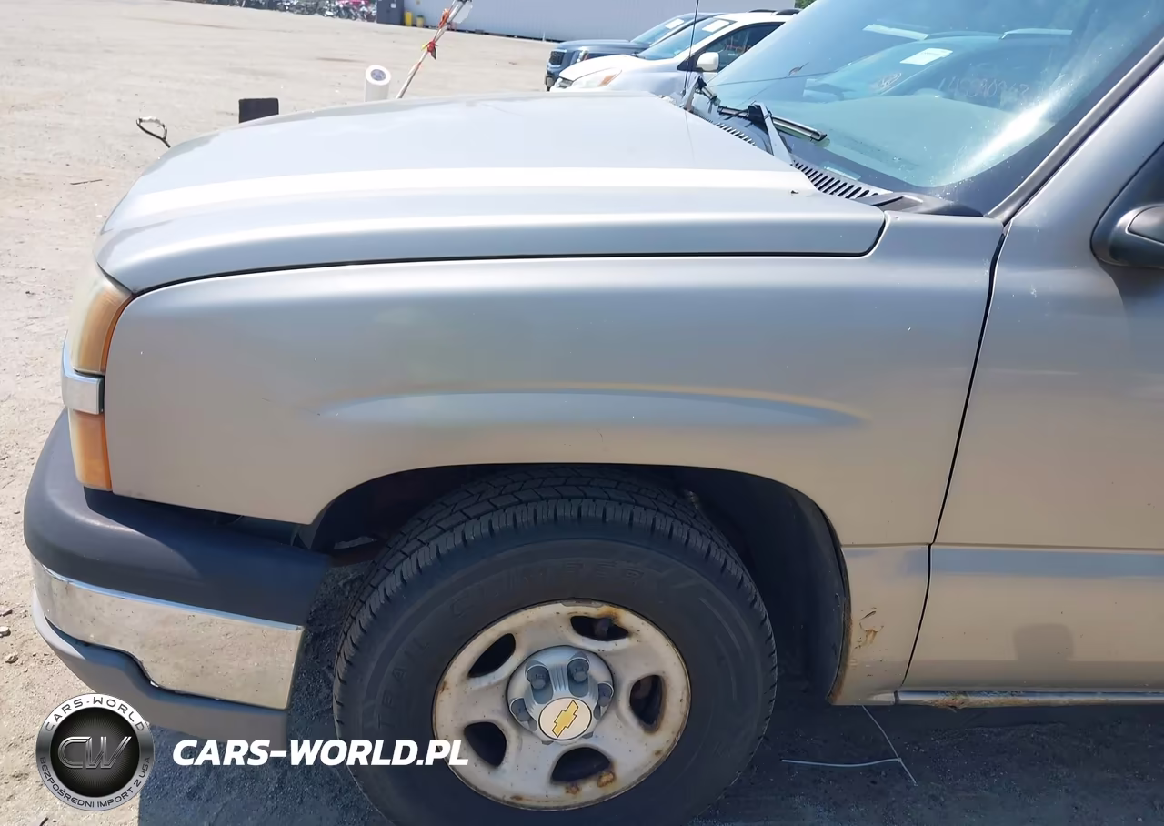 2003 Chevrolet Silverado 1500 Work Truck VIN:1GCEC14VX3Z132000 - 13