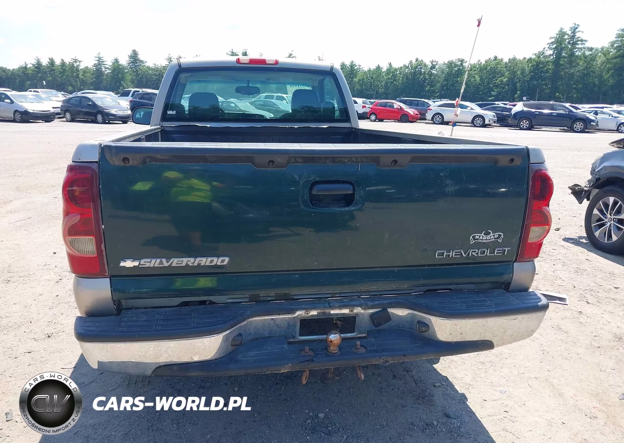 2003 Chevrolet Silverado 1500 Work Truck VIN:1GCEC14VX3Z132000 - 16