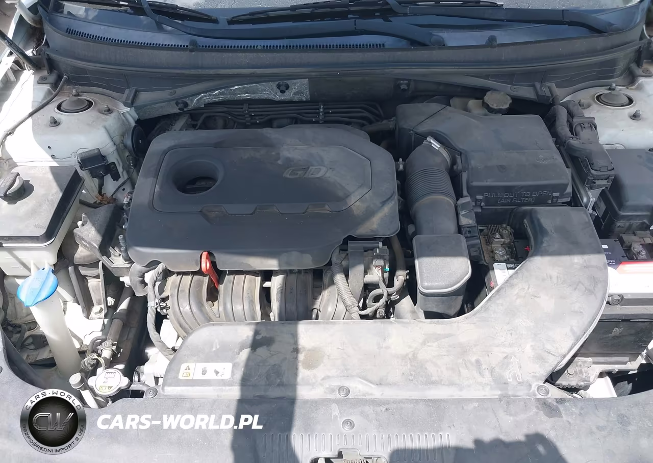 2016 Hyundai Sonata Se VIN:5NPE24AF5GH304805 - 10